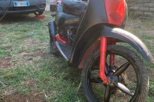 Scarabeo 50 leggere bene