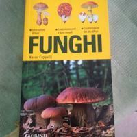Funghi di Marco Cappelli