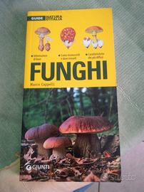 Funghi di Marco Cappelli