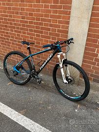 bici mtb
