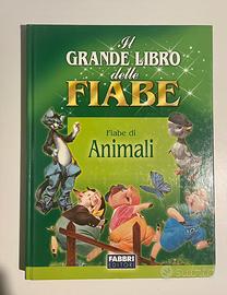 IL GRANDE LIBRO DELLE FIABE - Libri e Riviste In vendita a Torino