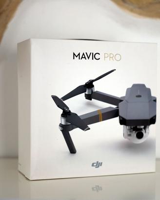 DJI Mavic Pro Platinuium