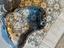 Immagine 3