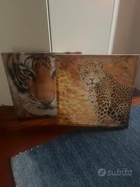 Quadri con animali