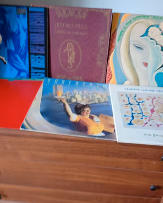 VINILI PER INTENDITORI 