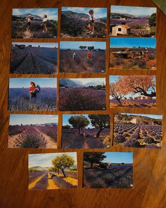 cartoline vintage Provenza