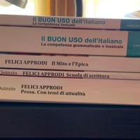 Il buon uso dell'italiano, felici approdi