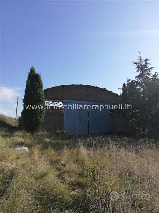 AG39 - San Casciano Dei Bagni azienda agri - Vista 4