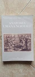 anatomia umana idelson gnocchi edizione 2007