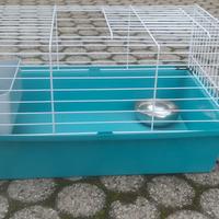 Gabbia per cavia