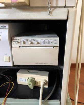 Stampante sony up895md