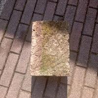 Tufo da giardino