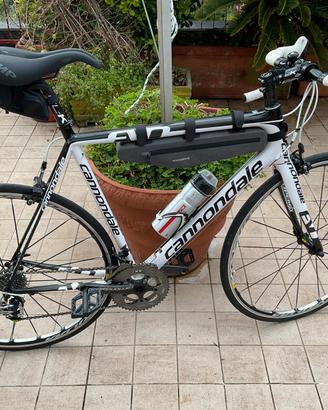 Bici da corsa