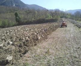 Fondo agricolo gratuito