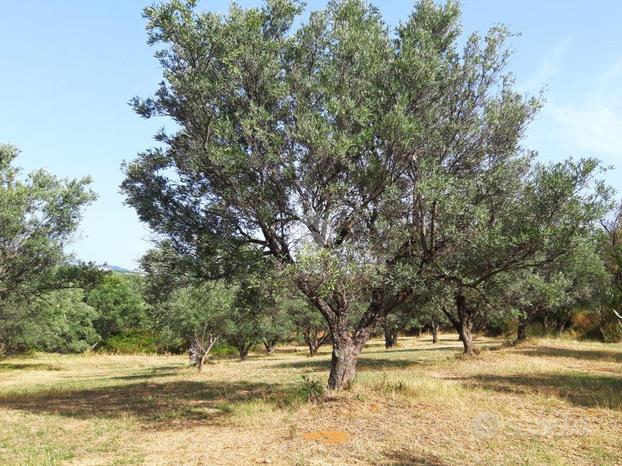 TER. AGRICOLO A CROPANI