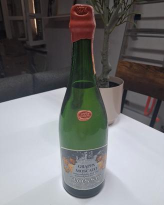 grappa di moscato 