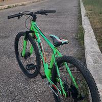 Mtb rokit rollmer 26
