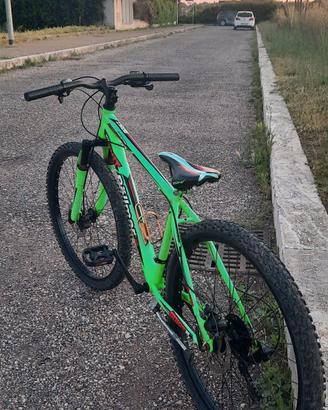 Mtb rokit rollmer 26