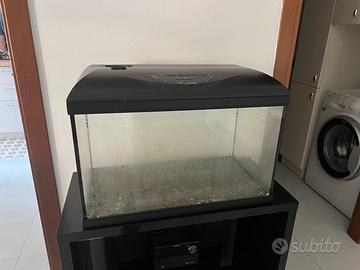 Acquario