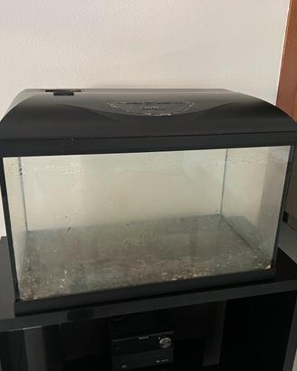 Acquario