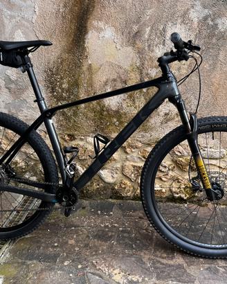 Trek Procaliber 9.5