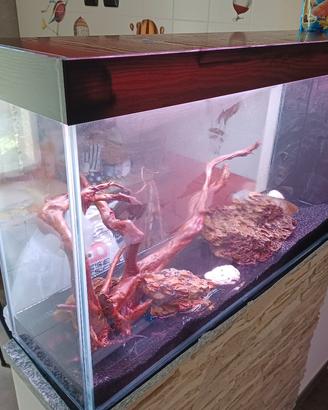 Acquario  150 euro (Pagato 1000!)