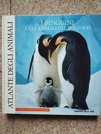 Pinguini Libro +Peluche