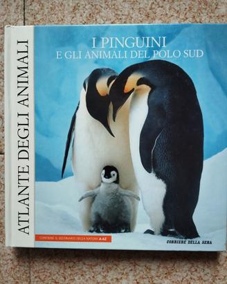 Pinguini Libro +Peluche