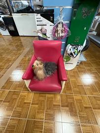 Poltroncina per cani