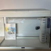 Acquario Aquatlantis 