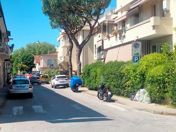 Viareggio Agosto 50mt.pinera 3vani climatizzatore