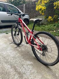 Orbea 24