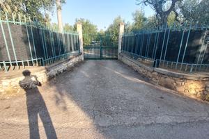 Terreno agricolo 2500 mq con locale