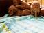 Immagine 1