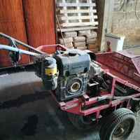 Scopatrice raccoglitrice olive