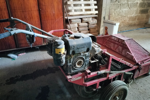 Scopatrice raccoglitrice olive