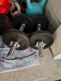 pesi da palestra 
