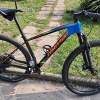 bici mtb carbonio