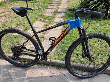 bici mtb carbonio
