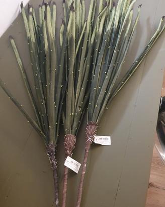 Rami decorativi