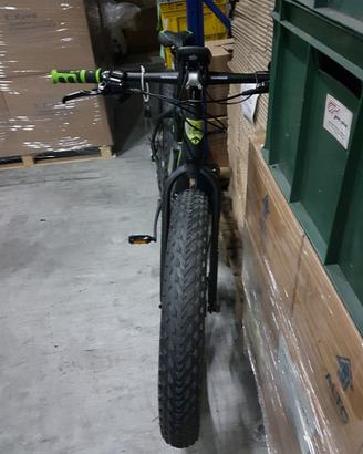 Fat Bike