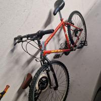 bicicletta mountain bike - ferma da anni