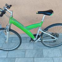 bicicletta 