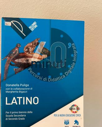 40 minuti  Latino biennio Percorsi didattica digit