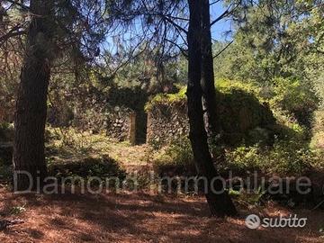 Terreno 20.000mq con fabbricato a Piedimonte Etneo