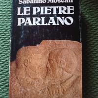 saggio Le Pietre parlano