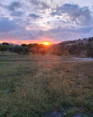 Terreni Agricoli edificabili Cda Sartania Gaddira