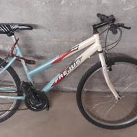 Mount-bike per ragazzi