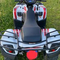 Quad aeon crossland 300