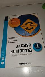 Dal caso alla norma 1 (diritto triennio AFM/SIA)